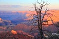 Grand Canyon sunset Royalty Free Stock Photo