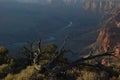 Grand Canyon Textures and Colors Royalty Free Stock Photo