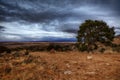 Grand Canyon Thunder Storm Royalty Free Stock Photo