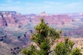 Grand Canyon, United States of America Royalty Free Stock Photo