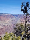 Grand Canyon veiw Royalty Free Stock Photo