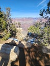 Grand Canyon veiw Royalty Free Stock Photo