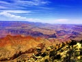 The Grand Canyon Royalty Free Stock Photo