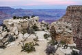 Grand Canyon, view from Moran Point. Rocks and trees in foreground; canyon with pink sky behind. Royalty Free Stock Photo