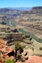 Grand Canyon West Rim Arizona Royalty Free Stock Photo