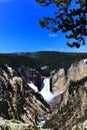 Grand Canyon of Yellow Stone national park Royalty Free Stock Photo