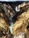 Grand Canyon Yellowstone Falls River in Yellowstone National Park, Wyoming Montana. Northwest. Royalty Free Stock Photo