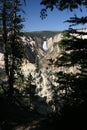 Grand Canyon of the Yellowstone Featuring Lower Falls