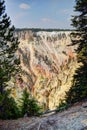 Grand Canyon Of The Yellowstone. Lower Falls of the Yellowstone River Park Trail Royalty Free Stock Photo
