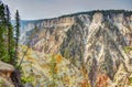 Grand Canyon Of The Yellowstone. Lower Falls of the Yellowstone River Park Trail Royalty Free Stock Photo