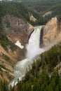 Grand Canyon of the Yellowstone lower falls waterfall view from Inspriation Point Royalty Free Stock Photo