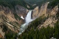 Grand Canyon of the Yellowstone lower falls waterfall view from Inspriation Point Royalty Free Stock Photo