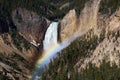 Grand Canyon of Yellowstone Lower Falls in Yellowstone National Park Royalty Free Stock Photo