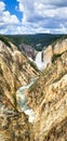 Grand Canyon of the Yellowstone lower Falls in the Yellowstone national park, Wyoming Royalty Free Stock Photo