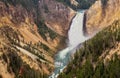 Grand Canyon of Yellowstone waterfall Royalty Free Stock Photo