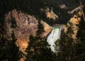 Grand Canyon of Yellowstone waterfall Royalty Free Stock Photo