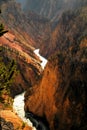 The Grand Canyon of Yellowstonw