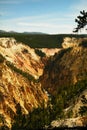 The Grand Canyon of Yellowstonw