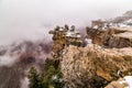 Grand Canyons in snow Royalty Free Stock Photo