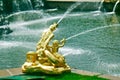 Grand cascade .Peterhof Palace Royalty Free Stock Photo