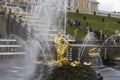 The Grand Cascade and Samson Fountain golden sculpture of Samson tearing open the jaws of a lion with the palace in the back Royalty Free Stock Photo