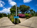 Grand Cayman-Camana Bay Paths