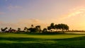 Grand Cayman-Golf Course 13 Royalty Free Stock Photo