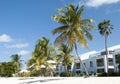 Grand Cayman Island Beach Palms Royalty Free Stock Photo