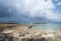 Grand Cayman Island Rocky Shore Royalty Free Stock Photo