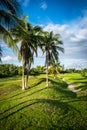 Grand Cayman-Redundant Golf Course 12 Royalty Free Stock Photo
