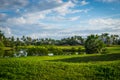 Grand Cayman-Redundant Golf Course 9 Royalty Free Stock Photo