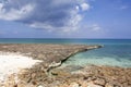 Grand Cayman Seven Mile Beach Eroded Shore Royalty Free Stock Photo
