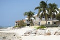 Grand Cayman Seven Mile Beach With Leaning Palms Royalty Free Stock Photo