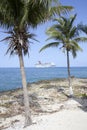 Grand Cayman Seven Mile Beach Palms And A Cruise Ship Royalty Free Stock Photo