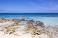 Grand Cayman Seven Mile Beach Waters Royalty Free Stock Photo