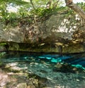 Grand Cenote one of the most famous cenotes in Mexico