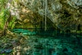 Grand Cenote one of the most famous cenotes in Mexico Royalty Free Stock Photo