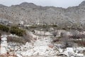 Grand colonnaded street with white marble pavement in ruins of the ancient city Sagalassos lost in Turkey mountains