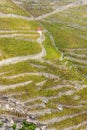 Grand cru vineyard of Cote Rotie