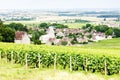 grand cru vineyard near Fixin, Cote de Nuits, Burgundy, France