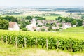 grand cru vineyard near Fixin, Cote de Nuits, Burgundy, France Royalty Free Stock Photo