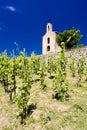 Grand cru vineyards Royalty Free Stock Photo