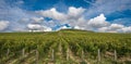 The Grand Cru vineyards of Chablis, Burgundy, France Royalty Free Stock Photo