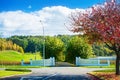 Grand entrance into a country estate in Hawke's Bay, New Zealand. Road driveway walled by turning plane trees Royalty Free Stock Photo