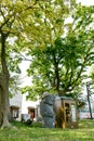 Grand Father Stone with Trees in the Park ay Jeju, South Korea