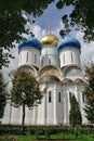 Assumption Cathedral Framed by Trees in Summer Royalty Free Stock Photo