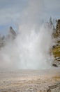 Grand geiser in Yellowstone National Park