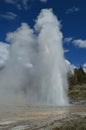 Grand geiser in Yellowstone National Park