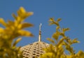 Grand Mosque - Muscat - Oman Royalty Free Stock Photo