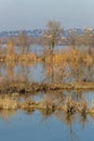 Grand parc de Miribel-Jonage swamps and reeds